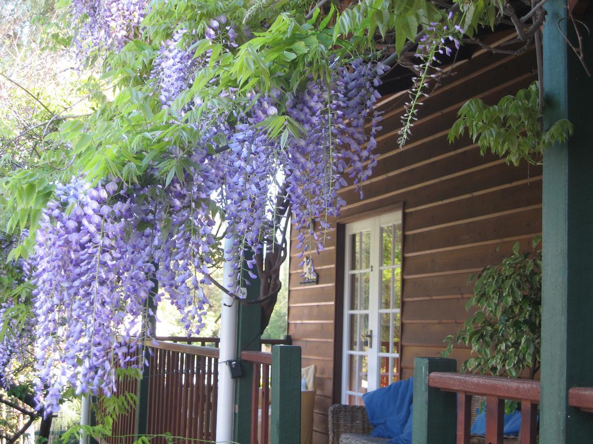Rosemoore Bed & Breakfast Перт Экстерьер фото